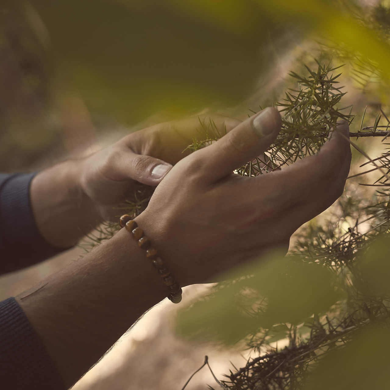 tuscan-distillery-winery-chianti-classico-winestillery-family-nature